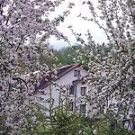 Feriegård U Solany